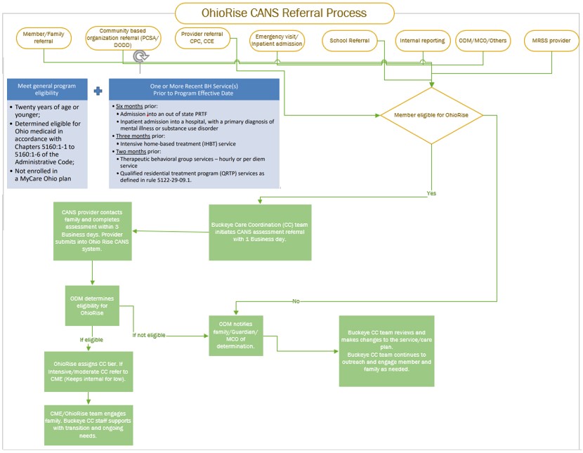 Flow chart that shows the eligibility process